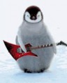 /album/pinguim-guitarrista/asdfghjkl%c3%a7-jpg/